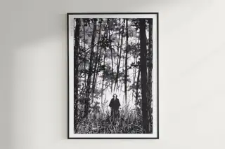 Vagabond - Among Tall Trees, immagine fixture da Eastern Archivals
